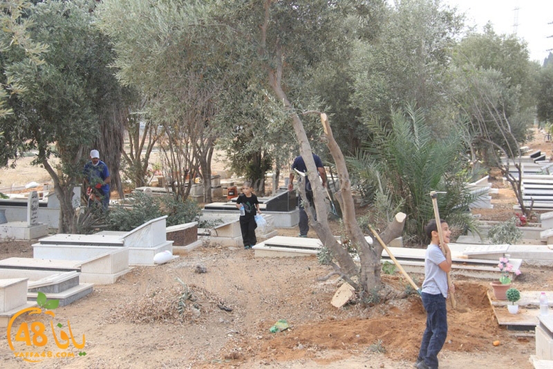 tasoooi3i1412 (21).JPG